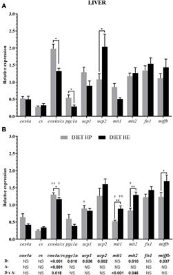 Mitochondrial Adaptation to Diet and Swimming Activity in Gilthead Seabream: Improved Nutritional Efficiency